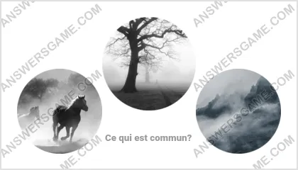 Réponse au jeu « Mot Imposteur » niveau 18 puzzle 15