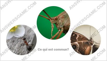 Réponse au jeu « Mot Imposteur » niveau 5 puzzle 1