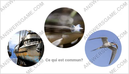 Réponse au jeu « Mot Imposteur » niveau 8 puzzle 2