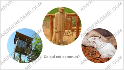 Réponse au jeu « Mot Imposteur » niveau 17 puzzle 1