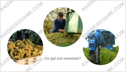 Réponse au jeu « Mot Imposteur » niveau 16 puzzle 6