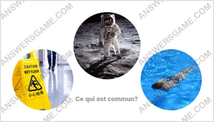 Réponse au jeu « Mot Imposteur » niveau 20 puzzle 17