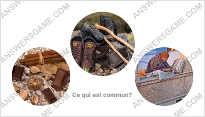 Réponse au jeu « Mot Imposteur » niveau 10 puzzle 15