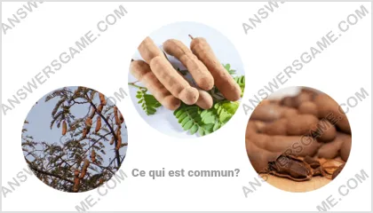 Réponse au jeu « Mot Imposteur » niveau 14 puzzle 17