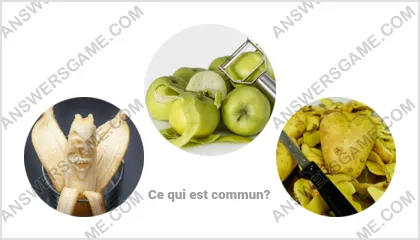 Réponse au jeu « Mot Imposteur » niveau 7 puzzle 13