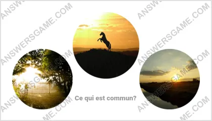 Réponse au jeu « Mot Imposteur » niveau 14 puzzle 13