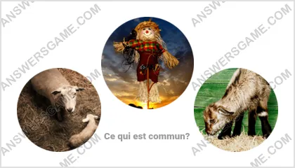 Réponse au jeu « Mot Imposteur » niveau 3 puzzle 1