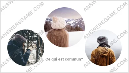 Réponse au jeu « Mot Imposteur » niveau 17 puzzle 3