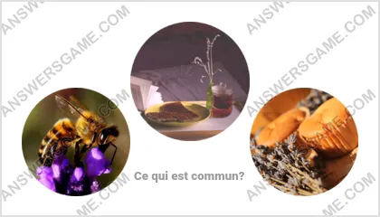 Réponse au jeu « Mot Imposteur » niveau 4 puzzle 1