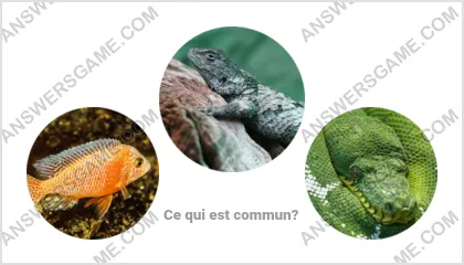 Réponse au jeu « Mot Imposteur » niveau 7 puzzle 14