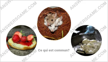 Réponse au jeu « Mot Imposteur » niveau 13 puzzle 5