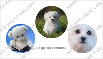 Réponse au jeu « Mot Imposteur » niveau 1 puzzle 18