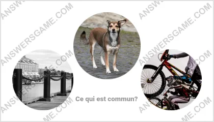 Réponse au jeu « Mot Imposteur » niveau 12 puzzle 3