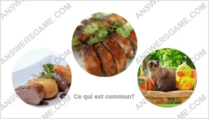 Réponse au jeu « Mot Imposteur » niveau 13 puzzle 14