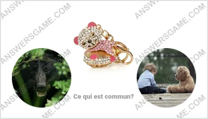 Réponse au jeu « Mot Imposteur » niveau 15 puzzle 10