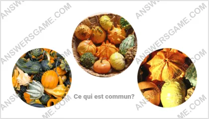 Réponse au jeu « Mot Imposteur » niveau 1 puzzle 14