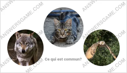 Réponse au jeu « Mot Imposteur » niveau 11 puzzle 3