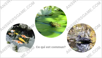 Réponse au jeu « Mot Imposteur » niveau 9 puzzle 7