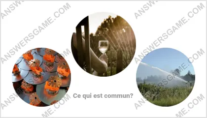 Réponse au jeu « Mot Imposteur » niveau 8 puzzle 18