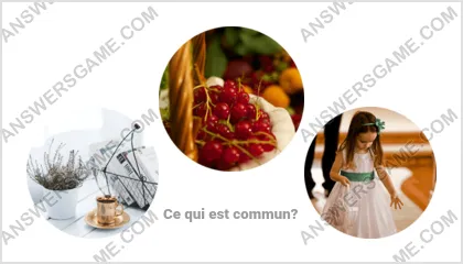 Réponse au jeu « Mot Imposteur » niveau 7 puzzle 19