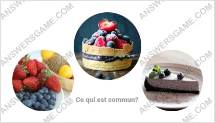 Réponse au jeu « Mot Imposteur » niveau 5 puzzle 2