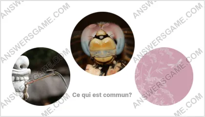 Réponse au jeu « Mot Imposteur » niveau 10 puzzle 2