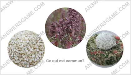 Réponse au jeu « Mot Imposteur » niveau 15 puzzle 7