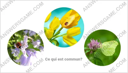 Réponse au jeu « Mot Imposteur » niveau 19 puzzle 3