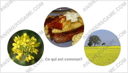 Réponse au jeu « Mot Imposteur » niveau 10 puzzle 10