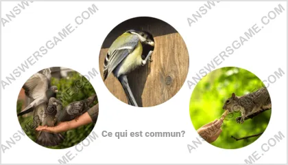 Réponse au jeu « Mot Imposteur » niveau 7 puzzle 3