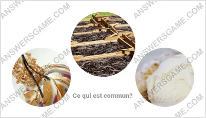 Réponse au jeu « Mot Imposteur » niveau 10 puzzle 6