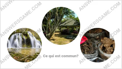 Réponse au jeu « Mot Imposteur » niveau 9 puzzle 13