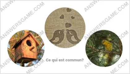 Réponse au jeu « Mot Imposteur » niveau 6 puzzle 6