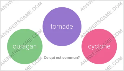 Réponse au jeu « Mot Imposteur » niveau 2 puzzle 12