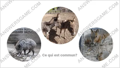 Réponse au jeu « Mot Imposteur » niveau 12 puzzle 18