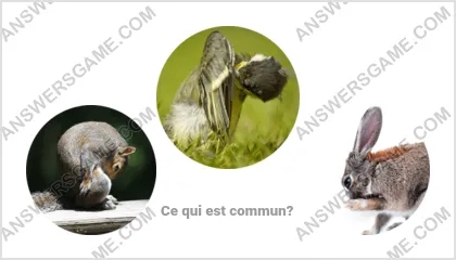 Réponse au jeu « Mot Imposteur » niveau 7 puzzle 2