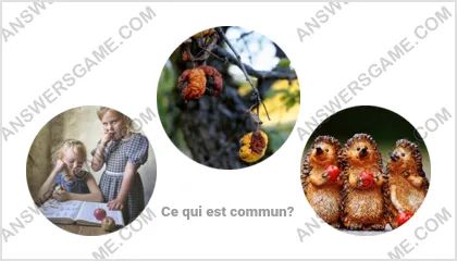 Réponse au jeu « Mot Imposteur » niveau 5 puzzle 5