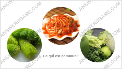 Réponse au jeu « Mot Imposteur » niveau 1 puzzle 11