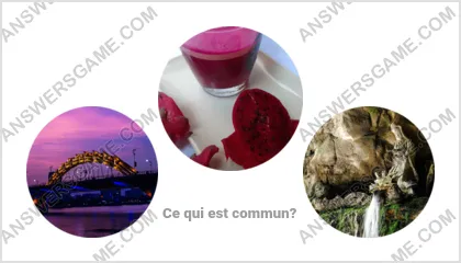 Réponse au jeu « Mot Imposteur » niveau 11 puzzle 1