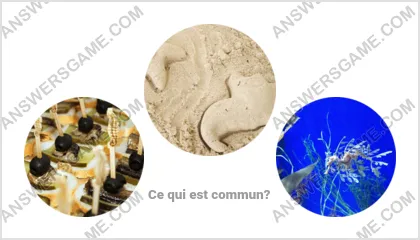 Réponse au jeu « Mot Imposteur » niveau 8 puzzle 6