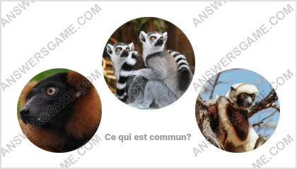 Réponse au jeu « Mot Imposteur » niveau 2 puzzle 2