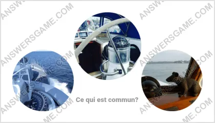 Réponse au jeu « Mot Imposteur » niveau 7 puzzle 15