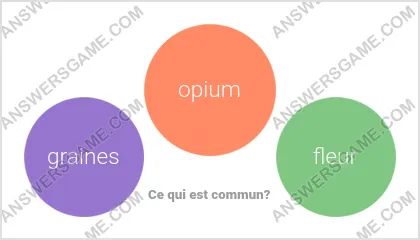 Réponse au jeu « Mot Imposteur » niveau 12 puzzle 4