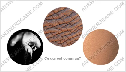 Réponse au jeu « Mot Imposteur » niveau 17 puzzle 13