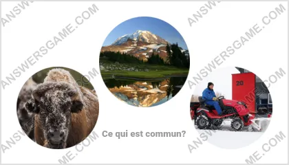 Réponse au jeu « Mot Imposteur » niveau 4 puzzle 2