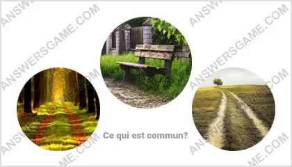 Réponse au jeu « Mot Imposteur » niveau 11 puzzle 15