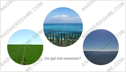 Réponse au jeu « Mot Imposteur » niveau 17 puzzle 5