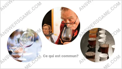 Réponse au jeu « Mot Imposteur » niveau 13 puzzle 9