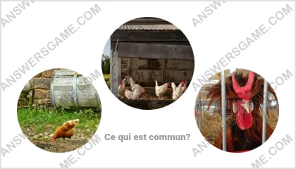 Réponse au jeu « Mot Imposteur » niveau 14 puzzle 18