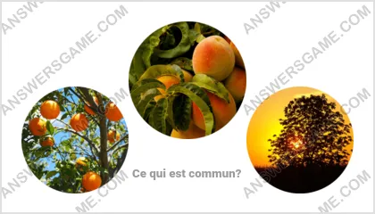 Réponse au jeu « Mot Imposteur » niveau 1 puzzle 15